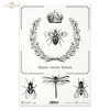 Retro, Vintage, czar dawnych przedmiotów, wieńce, wieniec, korona, mucha, ważka, home sweet home, R519, Retro, Vintage, charm of old objects, wreaths, wreath, crown, fly, dragonfly, home sweet home, 